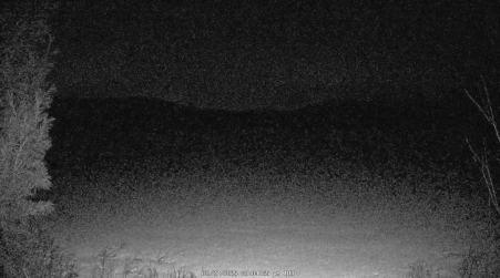 Image from 2025-02-27