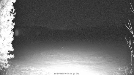 Image from 2025-02-27