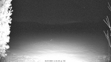 Image from 2025-02-27