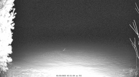 Image from 2025-02-28