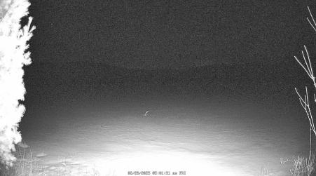 Image from 2025-02-28