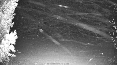 Image from 2025-02-28