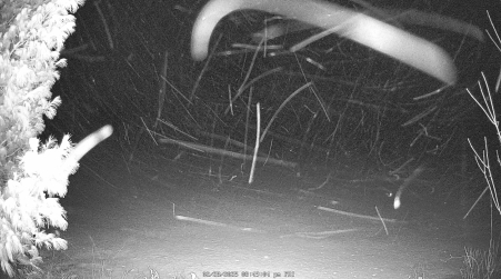 Image from 2025-02-28