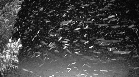 Image from 2025-02-28