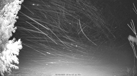Image from 2025-02-28