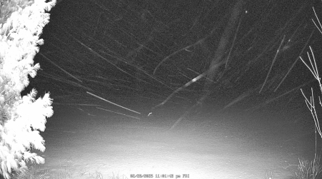 Image from 2025-02-28