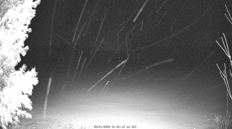 Image from 2025-03-01