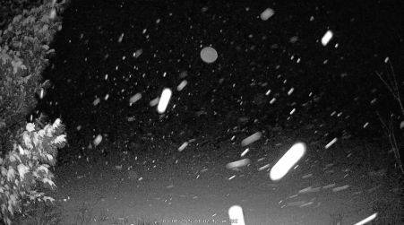 Image from 2025-03-01