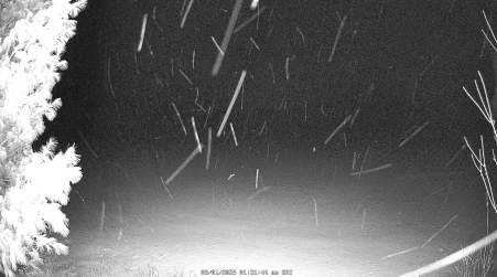 Image from 2025-03-01