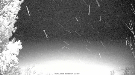 Image from 2025-03-01