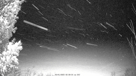 Image from 2025-03-01