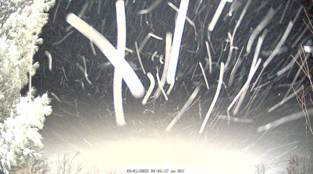 Image from 2025-03-01