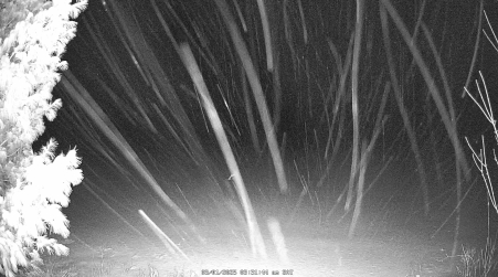 Image from 2025-03-01