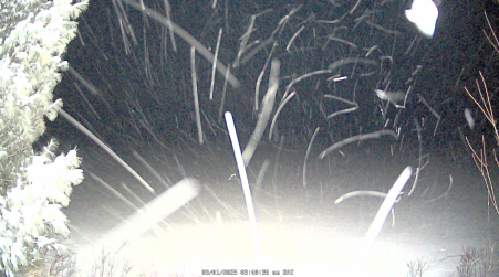 Image from 2025-03-01