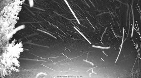 Image from 2025-03-01