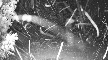 Image from 2025-03-01