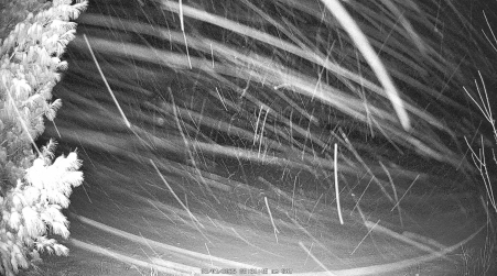 Image from 2025-03-01