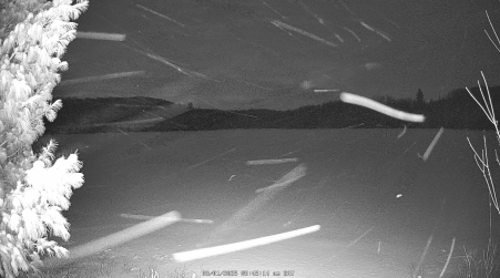 Image from 2025-03-01