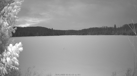Image from 2025-03-01