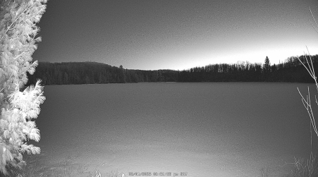 Image from 2025-03-01