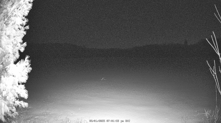 Image from 2025-03-01