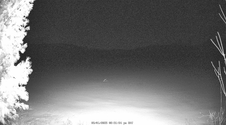 Image from 2025-03-01