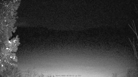 Image from 2025-03-01