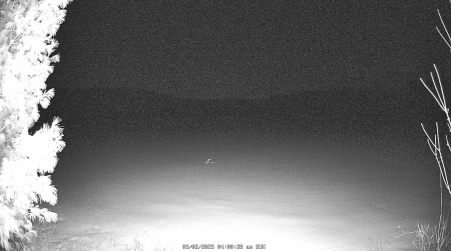 Image from 2025-03-02