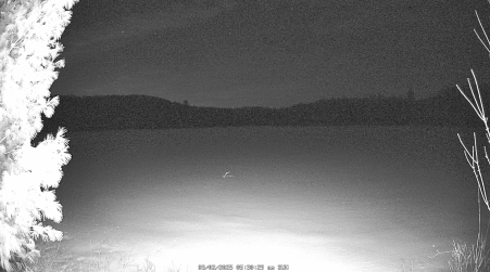 Image from 2025-03-02