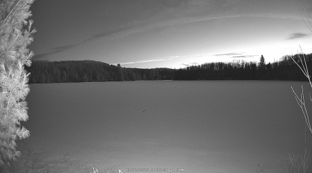 Image from 2025-03-02