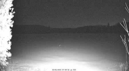 Image from 2025-03-02