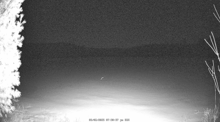 Image from 2025-03-02