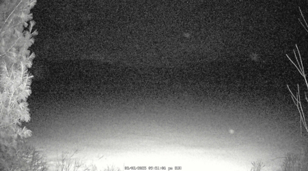 Image from 2025-03-02