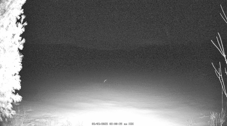 Image from 2025-03-03