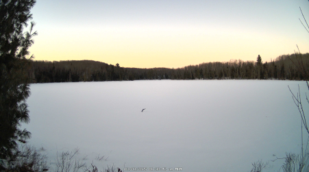 Image from 2025-03-03
