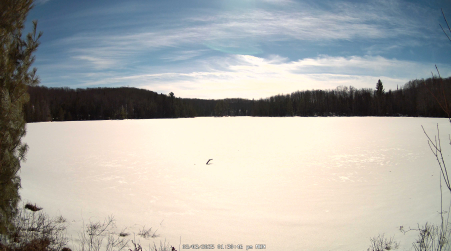 Image from 2025-03-03