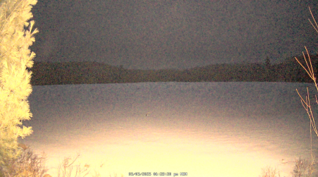 Image from 2025-03-03