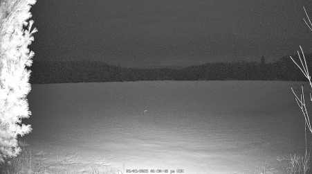 Image from 2025-03-03