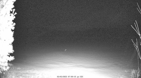 Image from 2025-03-03