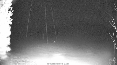 Image from 2025-03-03