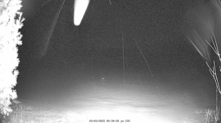 Image from 2025-03-03