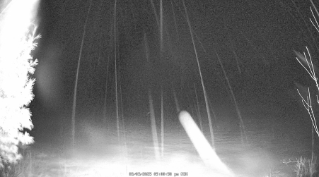 Image from 2025-03-03