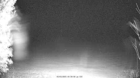Image from 2025-03-03