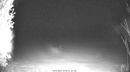 Image from 2025-03-03