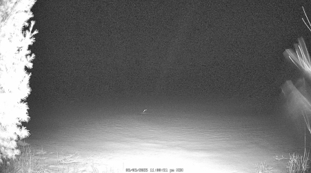 Image from 2025-03-03