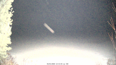 Image from 2025-03-04