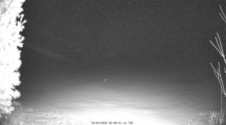 Image from 2025-03-04