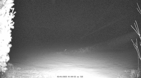 Image from 2025-03-04