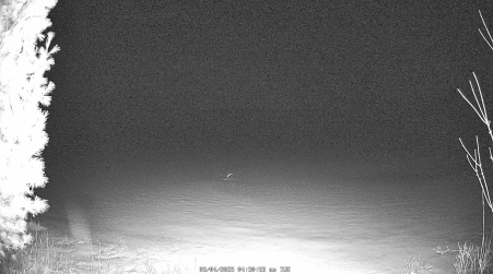 Image from 2025-03-04