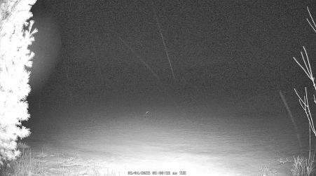 Image from 2025-03-04
